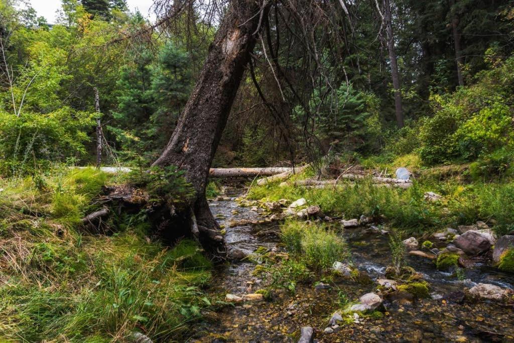 Cottage On The Stream Sundance, Utah المظهر الخارجي الصورة