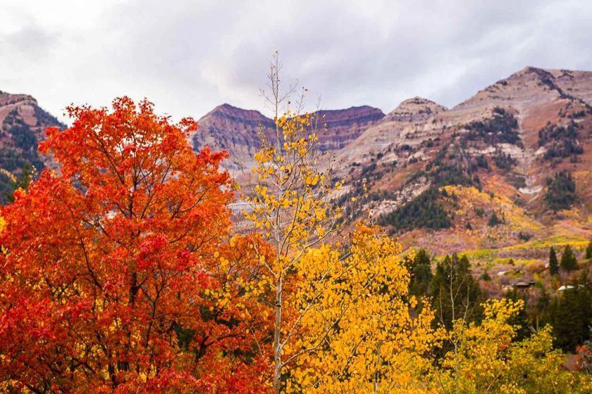 Cottage On The Stream Sundance, Utah المظهر الخارجي الصورة